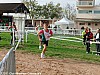 cross-rene-arcuset-montauban-13-11-2011_14
