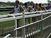 cross-rene-arcuset-montauban-13-11-2011_33
