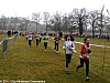 cross-regional-castres-30-01-2011_43