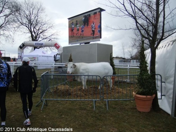 championnats-de-france-de-cross-27-02-2011_02