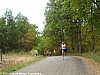 course-de-la-beneche-09-10-2011_42