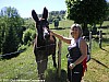 la-pastourelle-29-05-2011_104