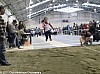 parcours-ea-po-fronton-19-02-2011_08