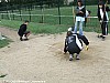 parcours-ea-po-caussade-07-05-2011_50