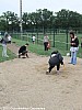 parcours-ea-po-caussade-07-05-2011_61