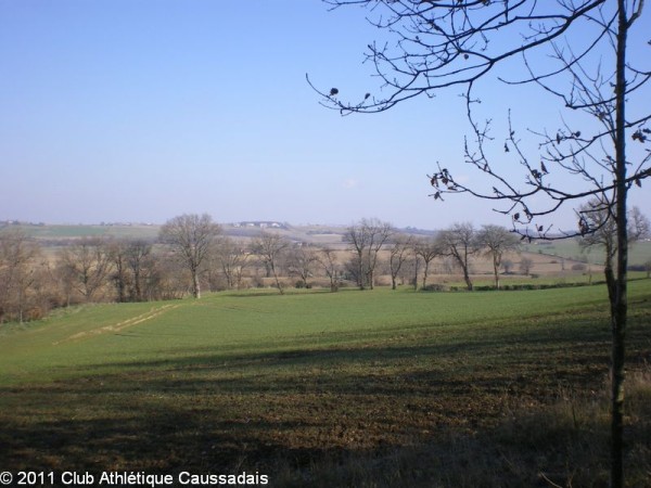 trail-les-chemins-du-pastel-montlaur-23-01-2011_27