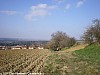 trail-les-chemins-du-pastel-montlaur-23-01-2011_26