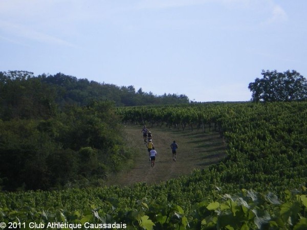 trail-des-coteaux-vignobles-03-07-2011_14