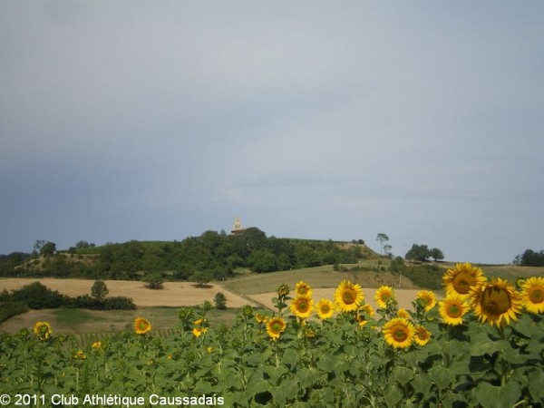 trail-des-coteaux-vignobles-03-07-2011_17