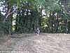 trail-des-coteaux-vignobles-03-07-2011_12