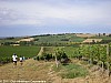 trail-des-coteaux-vignobles-03-07-2011_15
