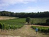 trail-des-coteaux-vignobles-03-07-2011_16