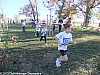 cross-de-blagnac-16-12-2012_38