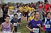 cross-rene-arcuset-montauban-18-11-2012_11