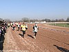 cross-departemental-montauban-15-01-2012_04