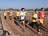cross-departemental-montauban-15-01-2012_06