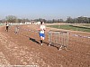 cross-departemental-montauban-15-01-2012_07