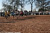 cross-departemental-montauban-15-01-2012_113