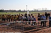 cross-departemental-montauban-15-01-2012_131