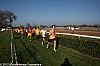 cross-departemental-montauban-15-01-2012_147