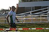 cross-departemental-montauban-15-01-2012_192