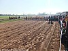 cross-departemental-montauban-15-01-2012_20