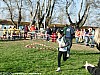 cross-departemental-montauban-15-01-2012_44