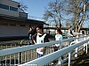 cross-departemental-montauban-15-01-2012_48