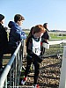 cross-departemental-montauban-15-01-2012_57