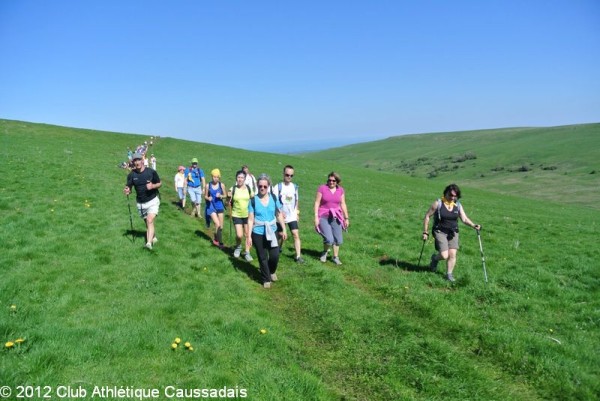 la-pastourelle-salers-26-05-2012_17
