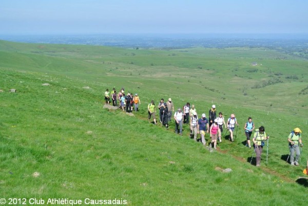 la-pastourelle-salers-26-05-2012_18