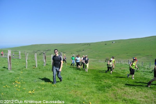 la-pastourelle-salers-26-05-2012_22