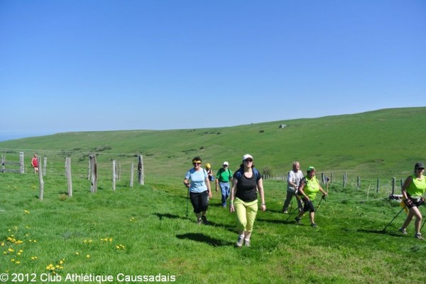 la-pastourelle-salers-26-05-2012_23