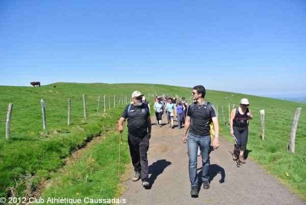 la-pastourelle-salers-26-05-2012_25