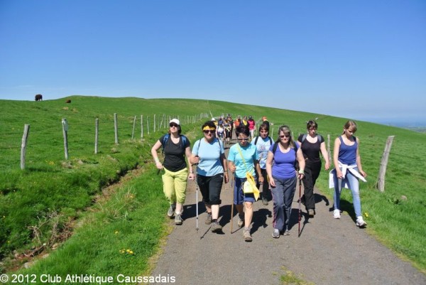 la-pastourelle-salers-26-05-2012_26