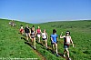 la-pastourelle-salers-26-05-2012_16