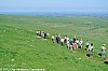 la-pastourelle-salers-26-05-2012_18