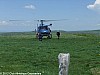 la-pastourelle-salers-26-05-2012_45