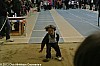 challenge-EA-PO-31-32-82-salle-fronton-02-02-2013_134