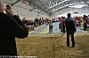 challenge-EA-PO-31-32-82-salle-fronton-02-02-2013_16