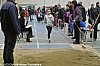 challenge-EA-PO-31-32-82-salle-fronton-02-02-2013_193