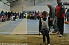 challenge-EA-PO-31-32-82-salle-fronton-02-02-2013_84