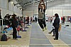 championnats-regionaux-CA-SE-salle-fronton-03-02-2013_32