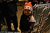 course-de-noel-montauban-20-12-2012_02