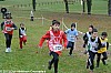 cross-departemental-caussade-13-01-2013_404