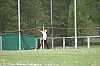 epreuves-combinees-sesquieres-27-et-28-04-2013_80